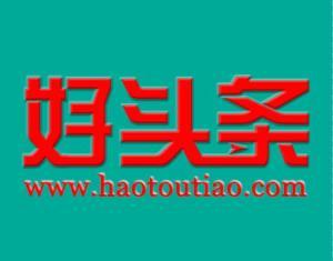 头条新开头好吗,引领资讯新潮流
