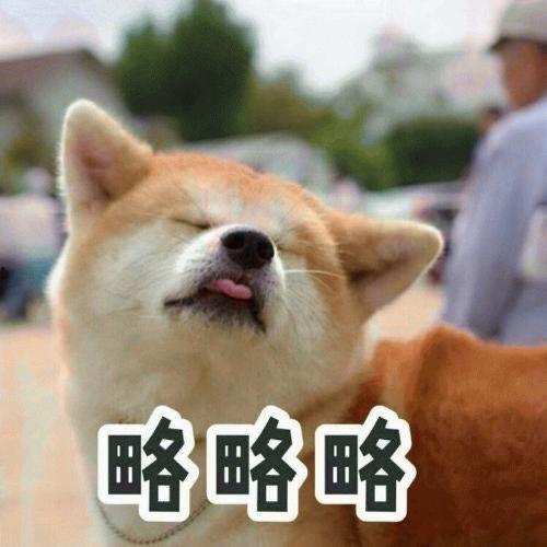 画狗头和吃瓜表情,趣味横生的网络新宠