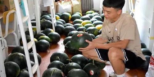 吃瓜寝室,大学生活中的趣味与智慧