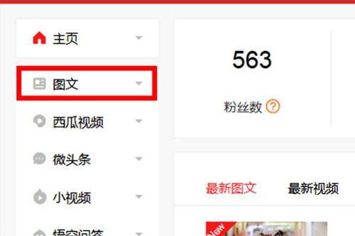 头条文章发文费,揭秘自媒体收益背后的秘密！”