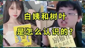 白姨爆料原视频大全,揭秘原视频大全背后的精彩故事