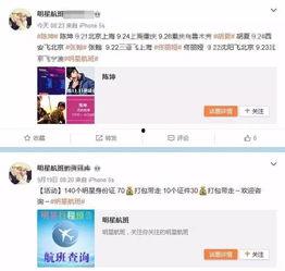 卖明星航班信息,奢华空中之旅全解析