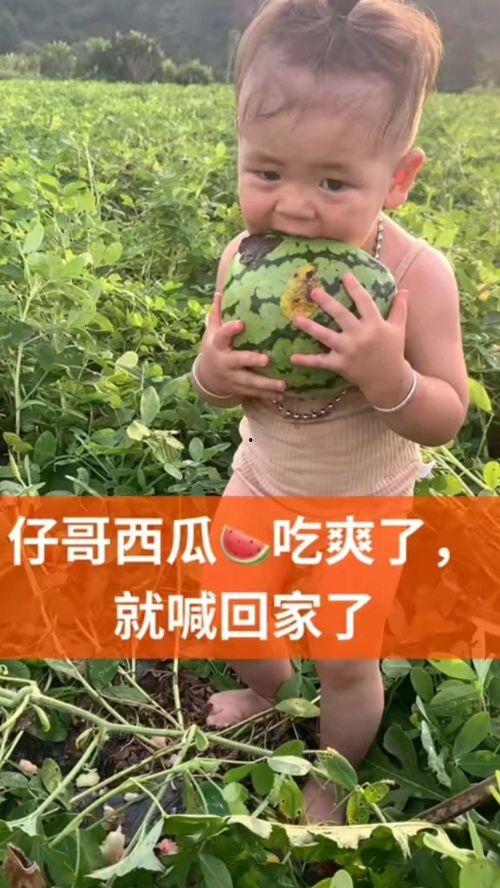 吃瓜吃爽了,一场爽到极致的瓜界盛宴