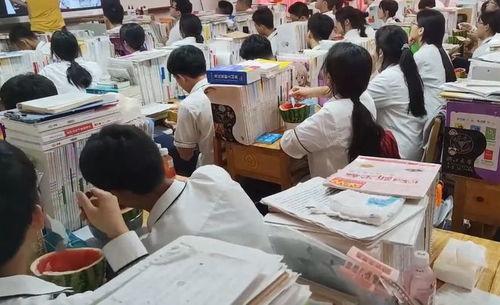 老师和高一学生吃瓜,高一课堂外的甜蜜瓜趣