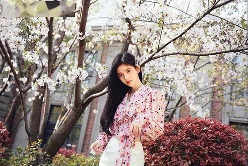 花拍照明星,捕捉镜头下的明星风采