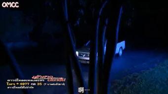 泰剧爱妻14在线观看,深情守候，真爱永恒