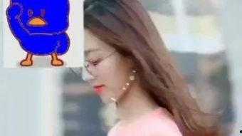 姐姐 在线观看,揭秘热门剧集的魅力所在