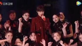 韩国明星对唱节目,韩国明星倾情演绎，音乐盛宴璀璨启幕