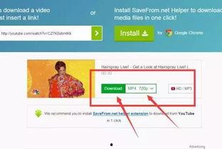 头条怎么找相片视频,教你轻松找到高清照片与视频资源