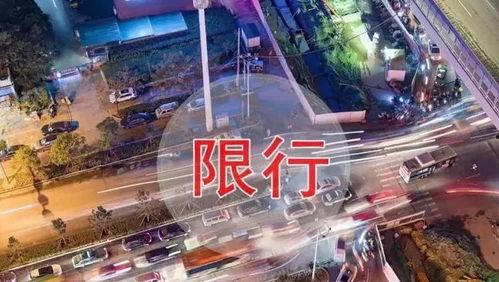 网红打卡地标洛阳限行,出行攻略与地标探索指南