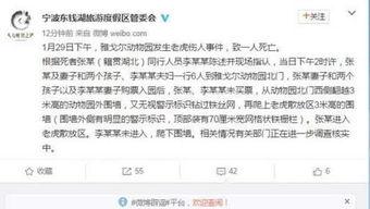 宁波事件爆料视频,揭秘背后真相与争议