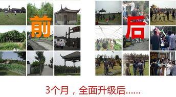 网红农庄设计运营方案,打造田园综合体，创新农业运营新模态