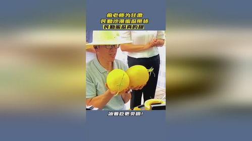 俞老师沙漠蜜瓜,俞老师秘制沙漠蜜瓜传奇