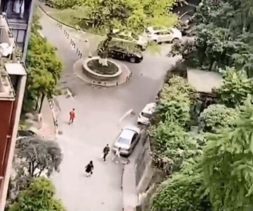 男子阳台吃瓜被问