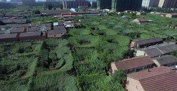 张家口宣化古城新闻头条,历史遗迹与现代化融合展现新风采